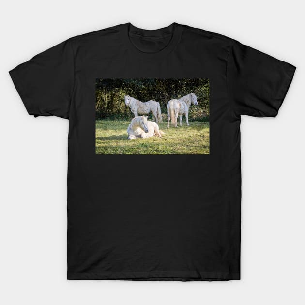 White Ponies T-Shirt by RJDowns